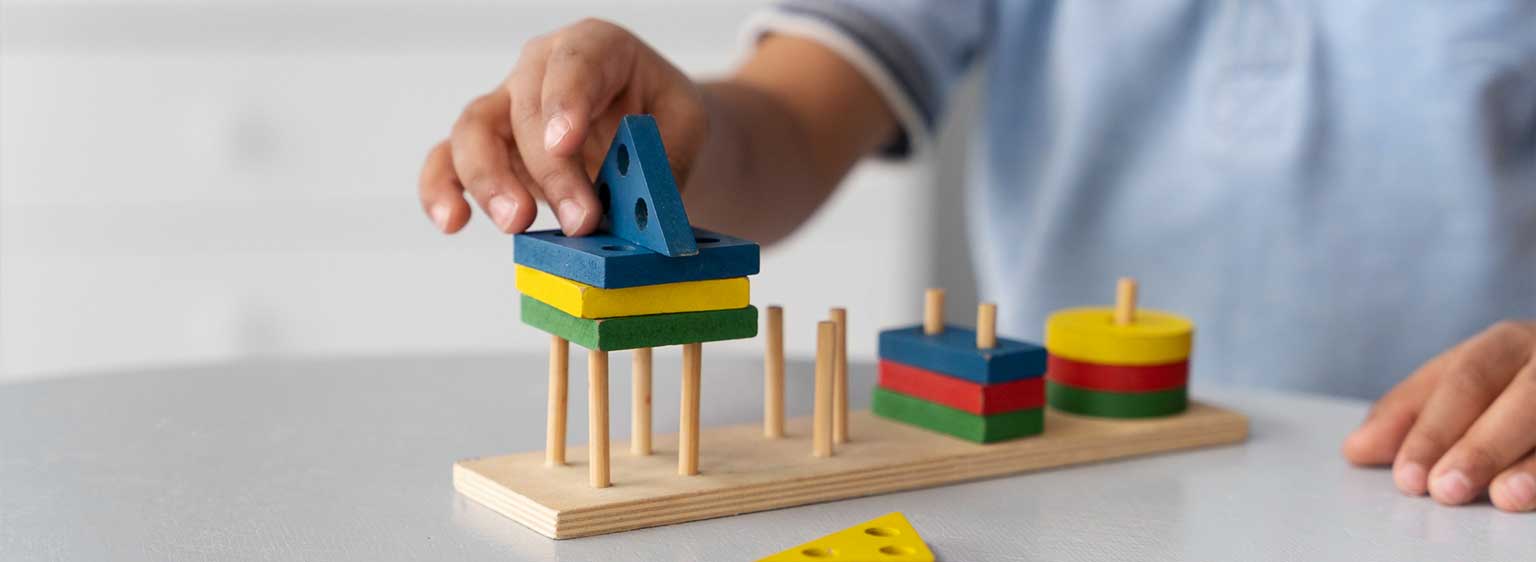 Child Playing With Toy